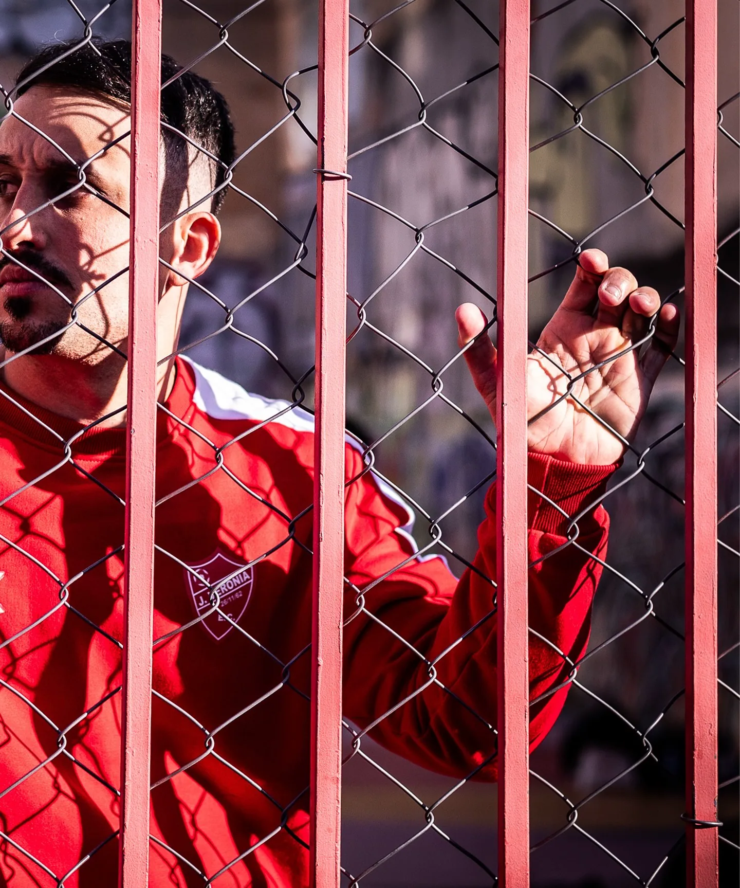 Agasalho TREND vermelho — fotografia oficial 6